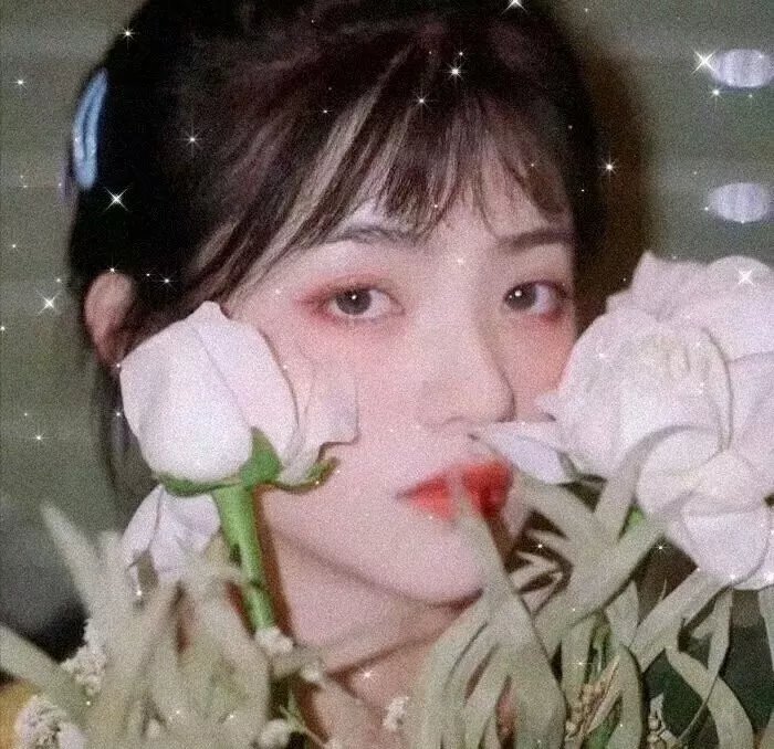 密谋